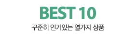 BEST 10 꾸준히 인기있는 열가지 제품